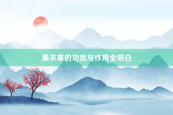 薰衣草的功效与作用全明白
