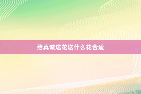 给真诚送花送什么花合适
