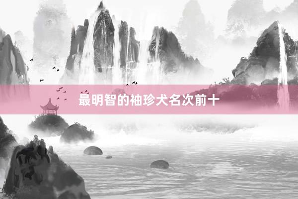 最明智的袖珍犬名次前十