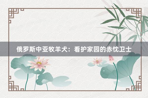 俄罗斯中亚牧羊犬：看护家园的赤忱卫士