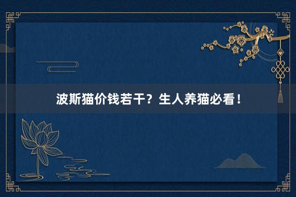 波斯猫价钱若干？生人养猫必看！